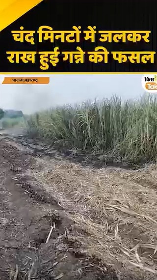jalna crop loss