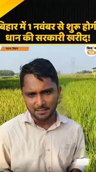 paddy procurement