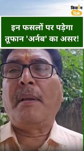 चक्रवात अर्नब