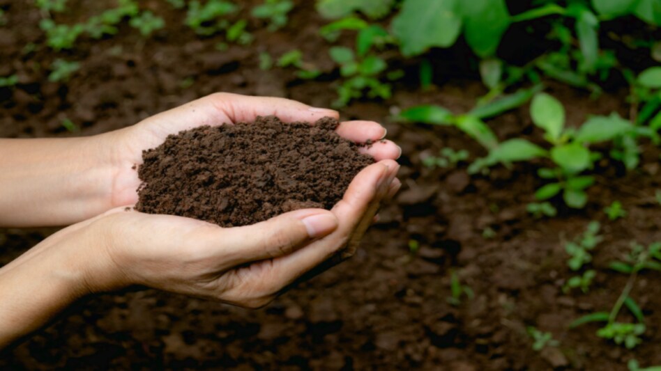 Bio Fertilizer: किसान इन बायो-फर्टिलाइजर की मदद से करें खेती, उपज में होगी बढ़ोतरी Bio Fertilizer: किसान इन बायो-फर्टिलाइजर की मदद से करें खेती, उपज में होगी बढ़ोतरी