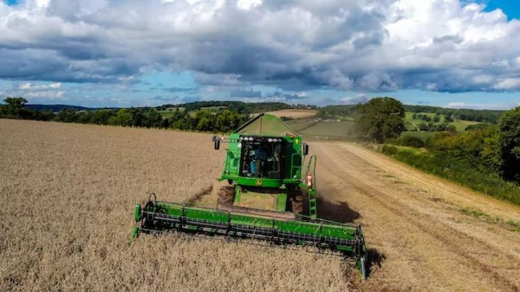 सांकेतिक तस्वीर