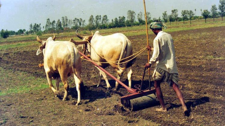 PM-Kisan: पात्रता के बावजूद क्यों रुक जाता है प्रधानमंत्री किसान सम्मान निधि योजना का पैसा? 