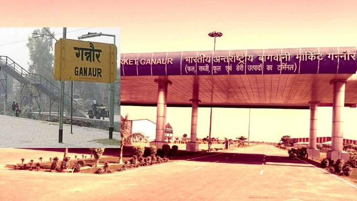 sonipat International Horticulture Market