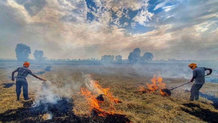 Delhi Pollution:पंजाब में पराली जलाने से दिल्ली की हवा खराब हो जाती है?