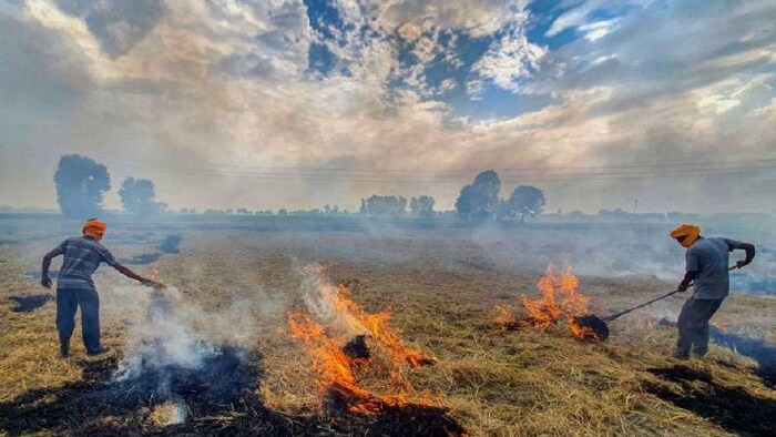 फसल अवशेष प्रबंधन