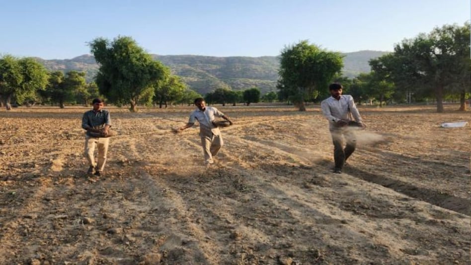 रेगिस्तान के आलू का बनेगा फ्रेंच फ्राइज!  किसान और मल्टीनेशनल कंपनी के बीच करार रेगिस्तान के आलू का बनेगा फ्रेंच फ्राइज!  किसान और मल्टीनेशनल कंपनी के बीच करार