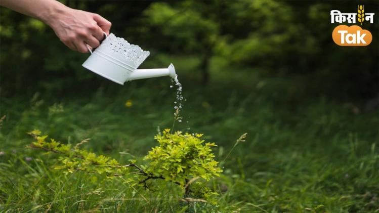 राष्ट्रीय बागवानी म‍िशन से क‍िसानों की बढ़ेगी आय, जानें कैसे करें आवेदन