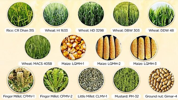 कृषि वैज्ञानिकों ने किया है 87 बायोफोर्टिफाइड किस्मों का विकास.