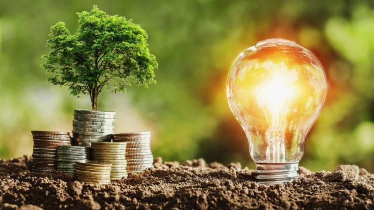 Rural Business Ideas