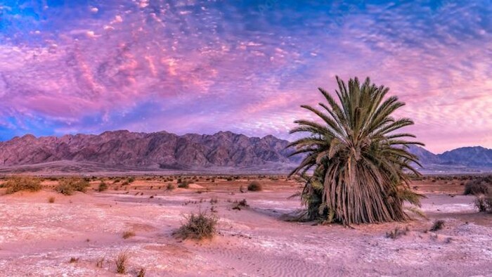 लगातार बढ़ रहे जलवायप परिवर्तन से बढ़ रहे एकसाथ कई जोखिम, फोटो साभार: Freepik