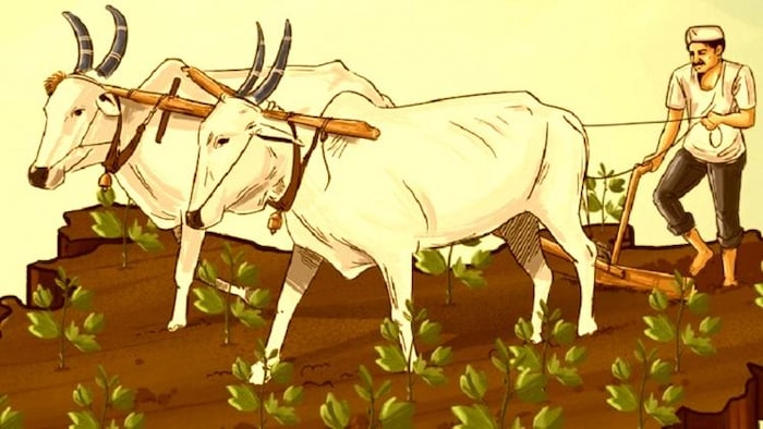 भारत की कृषि सब्सिडी से क्यों बेचैन है डब्ल्यूटीओ.