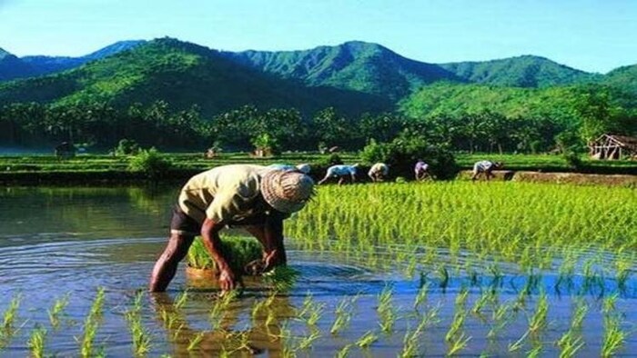 देश के किसान परिवार की औसत मासिक आय 11 हजार रुपये से कम है