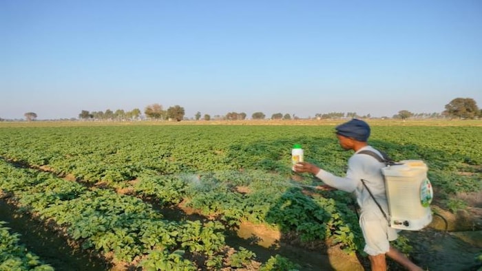 केंद्र सरकार ने खाद, बीज समेत कृषि मशीनों पर जीएसटी लगाया हुआ है. (फोटो साभार इफको)