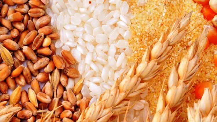 कुपोषण से लड़ाई में बड़ा हथ‍ियार बना फोर्टिफाइड अनाज, कई राज्य पीडीएस में बंटवा रहे