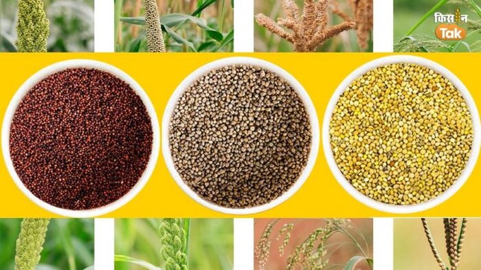 मोटे अनाजों का सबसे बड़ा उत्पादक कौन है?