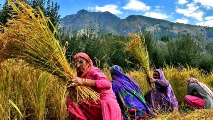 ATMA Yojana महिला किसानों को सशक्त बनाने से लेकर फसल उत्पादकता बढ़ाने