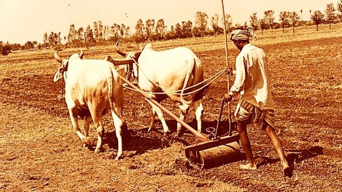 किसान क्रेडिट कार्ड बनने से आसान होगी किसानों की जिंदगी.