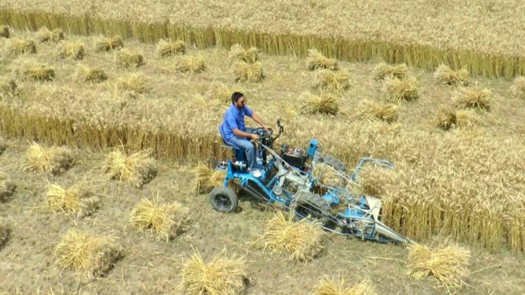 किसानों की बल्ले-बल्ले! बिहार सरकार रीपर मशीन पर दे रही 60 हजार रुपये की सब्सिडी