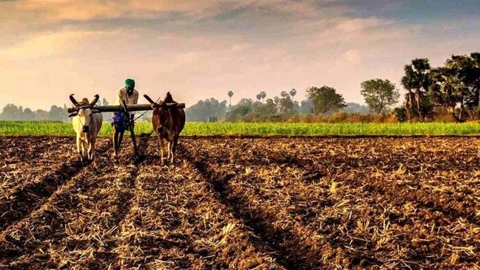 जमाबंदी के लिए हरियाणा सरकार ने लिया सॉफ्टवेयर.