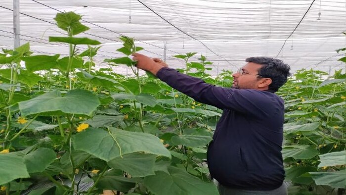 खेत में काम करते मनीष मीणा