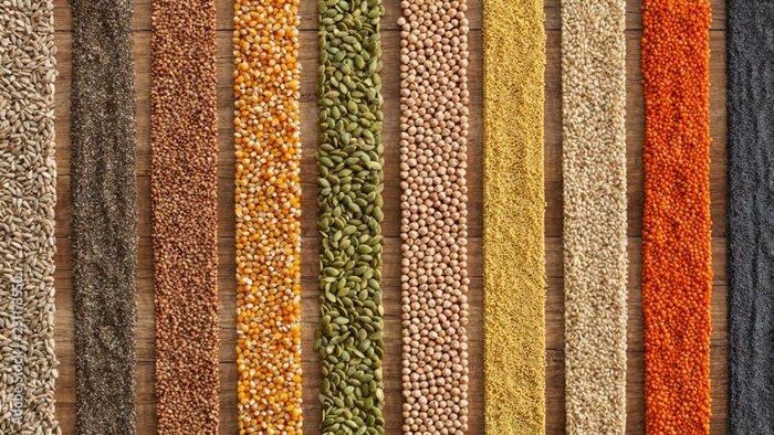 Millets: डेली डाइट में बढाना चाहते हैं कार्बोहाइड्रेट की खुराक, ये मोटे अनाज करें आहार में शामिल, फोटो साभार: freepik