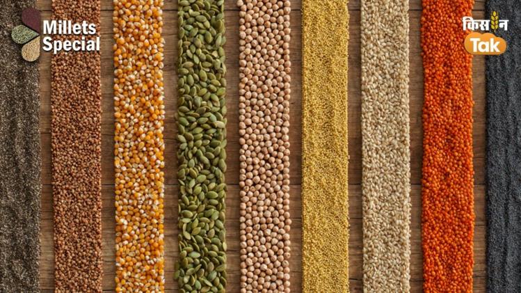 Millets: मैग्नीशियम से भरपूर हैं ये मोटे अनाज, जानें कौन हैं इस सूची में शामिल