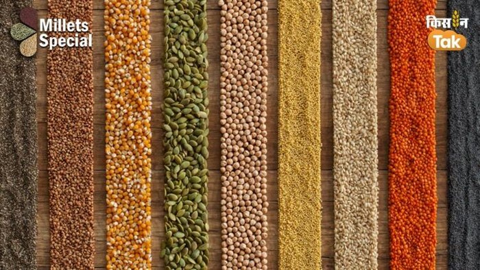 ये मोटे अनाज हैं शरीर में मैंग्नशियम बढ़ाने के अच्छे स्त्रोत, फोटो साभार: Freepik