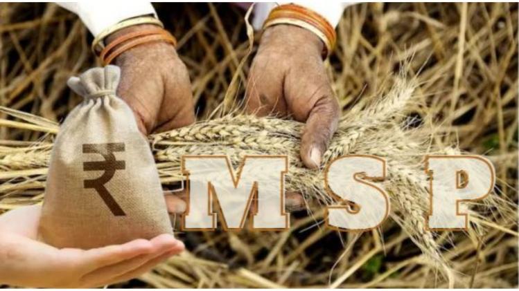 नीति आयोग के सदस्य ने कहा- MSP केवल स्थिर मूल्य की गारंटी दे सकता है, सर्वोत्तम मूल्य की नहीं