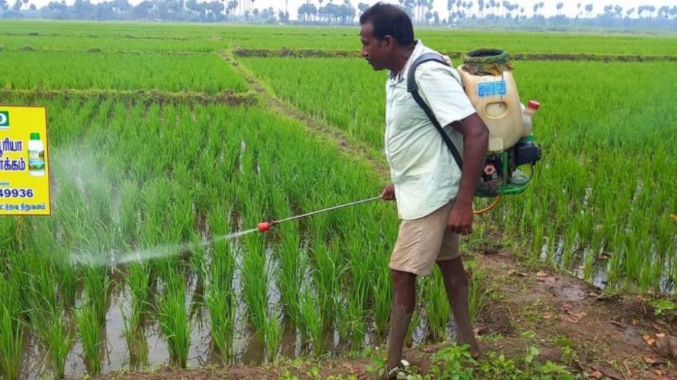 नैनो यूरिया पर उठ रहे सवालों के बीच केंद्र सरकार ने दिया बड़ा बयान - big statement of agriculture Minister Narendra Singh Tomar regarding Nano Urea in Parliament -