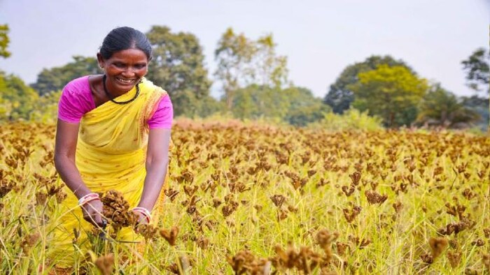 ओडिशा की महिला किसान, फोटोः किसान तक