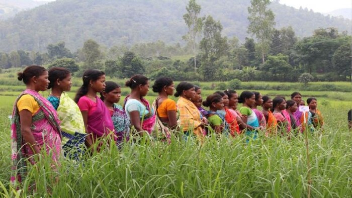 ओडिशा की महिला किसान फोटोः किसान तक