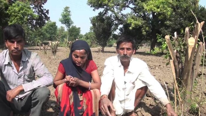 आगर-मालवा में संतरा उगाने वाले किसान