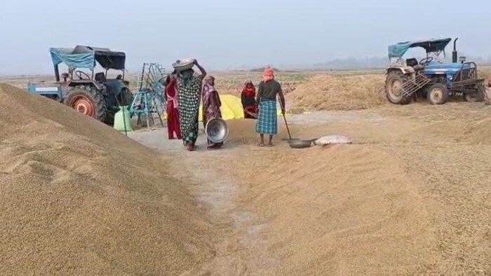 यूपी में तेज हुआ धान खरीद का काम