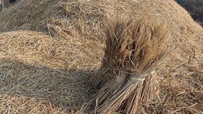 घर के बाहर रखी गई पराली फोटोः किसान तक
