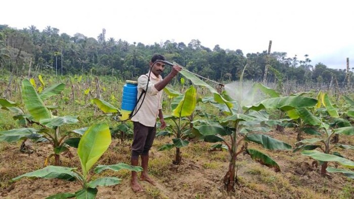 फसल नुकसान भरपाई के लिए सरकार ने बनाई कमेटी