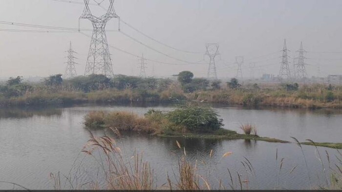 नहर के पानी से भरा एक तालाब.