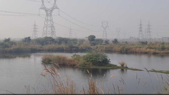 मछलियों के तालाब का प्रतीकात्मक फोटो.