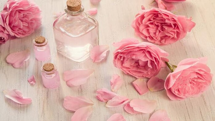 गुलाब की पंखुडियों से बना सकते हैं गुलाब जल, फोटो साभार: Freepik