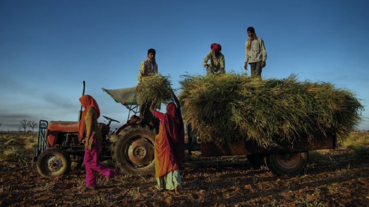 महिला किसानों के लिए ये 3 कृषि यंत्र हैं बहुत उपयोगी, जानिए खासियत  