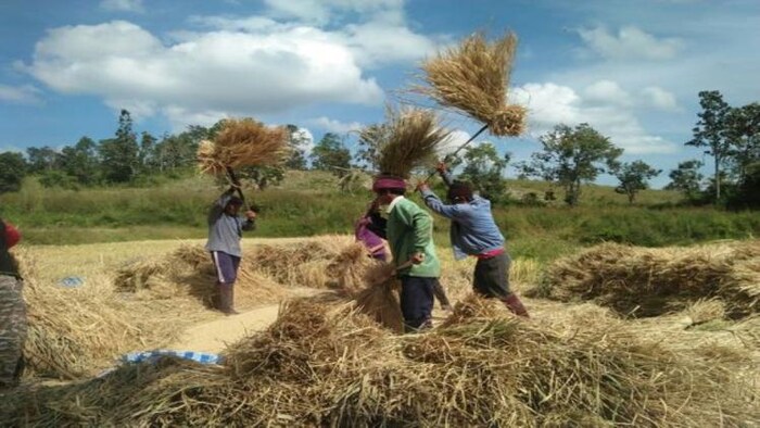 बिहार में चौथे कृषि रोडमैप को लागू करने की तैयारी