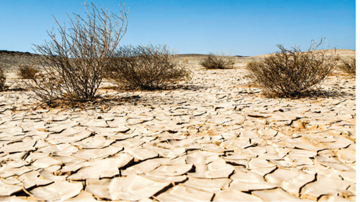 बंजर भूमि होंगी उपजाऊ