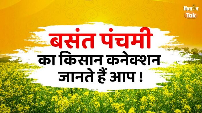 बसंत पंचमी 26 जनवरी 2023 को मनाई जाएगी, फोटो- किसान तक