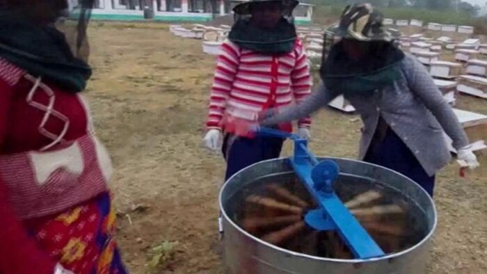 मधुमक्खीपालन से महिला किसानों की बढ़ी कमाई (फोटो साभार-ANI)