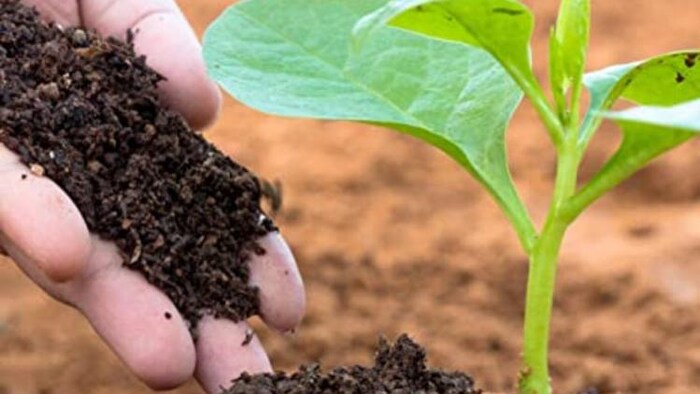 रासायनिक खादों के इस्तेमाल को रोकना है जरूरी