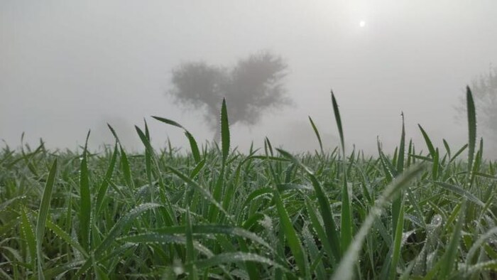 आज के मौसम का हाल