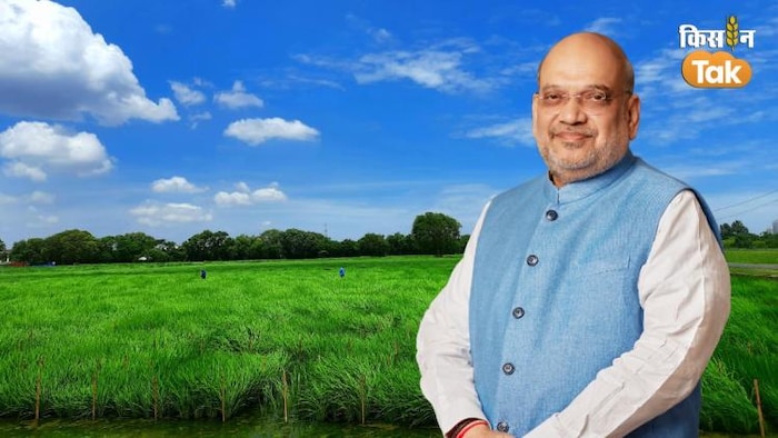 सहकारी क्षेत्र को मजबूत बनाने में जुटे हैं अमित शाह.