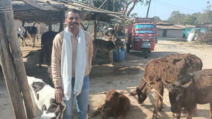 गायों के बीच खड़ें कोटारी गांव के लखन यादव फोटोः किसान तक