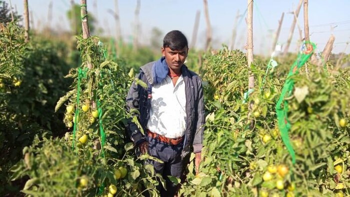 अपने खेत में खड़े बिसेश्वर साहू फोटोः किसान तक