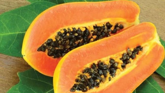 पपीता उत्पादन में देश में सबसे अव्वल है आंध्र प्रदेश, फोटो साभार: freepik