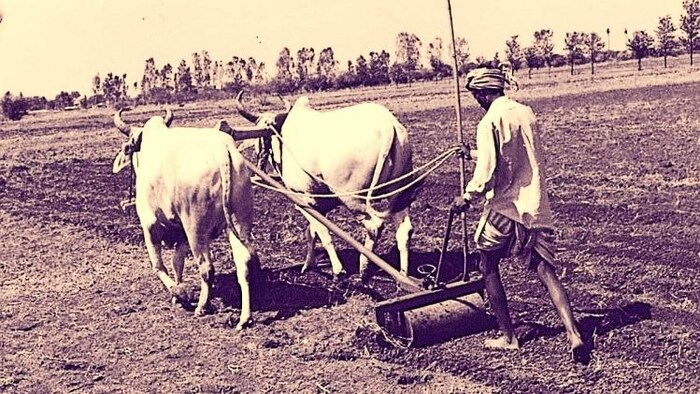 मध्य प्रदेश सरकार दे रही है शून्य प्रतिशत ब्याज वाला कृषि लोन. (Symbolic Image)